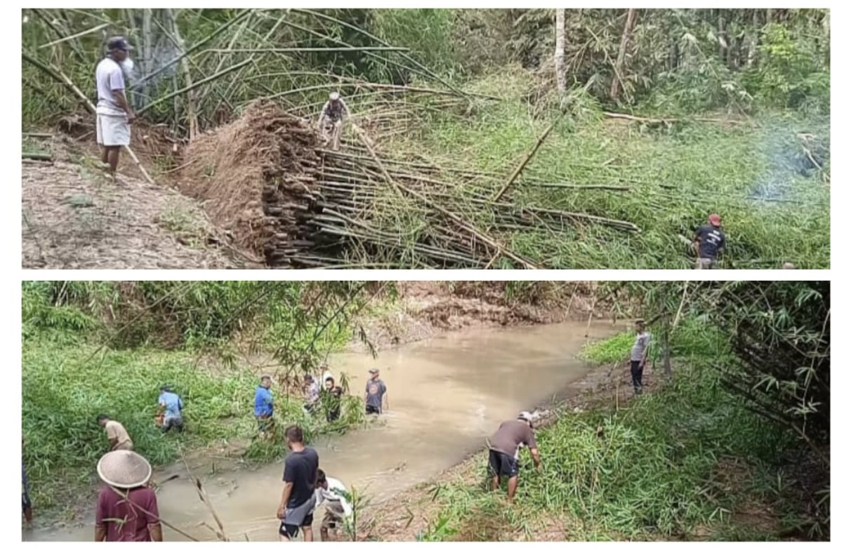 Hujan Deras Beberapa Hari Terakhir Berdampak Pada Robohnya Pepohonan di Kalurahan Kebonrejo
